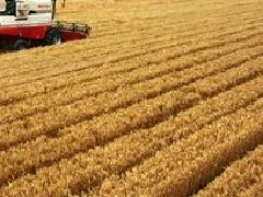 湖北提出“一芯驅動、兩帶支撐、三區協同”的區域和產業規劃布局