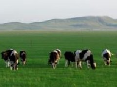 海南政府科研企業聯手，產業規劃目標2035年產果量26億個