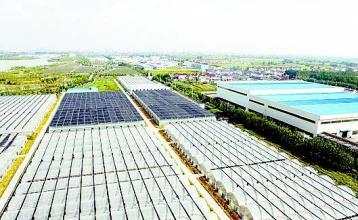 國務院發(fā)文推進農(nóng)村一二三產(chǎn)業(yè)融合發(fā)展 鼓勵社會資本投入