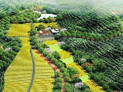 黑龍江省“十四五”規(guī)劃《綱要》出爐 聚焦“十個新突破”明確13個領(lǐng)域重點任