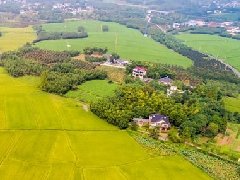 智慧園區規劃 | 產業園區該如何應對突發公共事件？