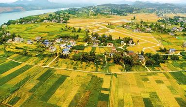 經濟轉型，要抓縣域經濟牛鼻子？