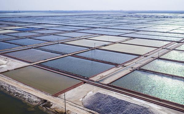 向海圖強 北海經濟開發區挖掘經略海洋＂藍色寶藏＂