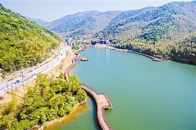 長(zhǎng)三角實(shí)施鄉(xiāng)村振興戰(zhàn)略觀(guān)察