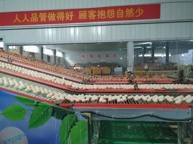 后稷故里，板棗之鄉(xiāng)——山西省稷山縣大力爭(zhēng)創(chuàng)國(guó)家現(xiàn)代農(nóng)業(yè)產(chǎn)業(yè)園